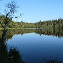 P2000462