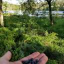 IMG_20200708_182546